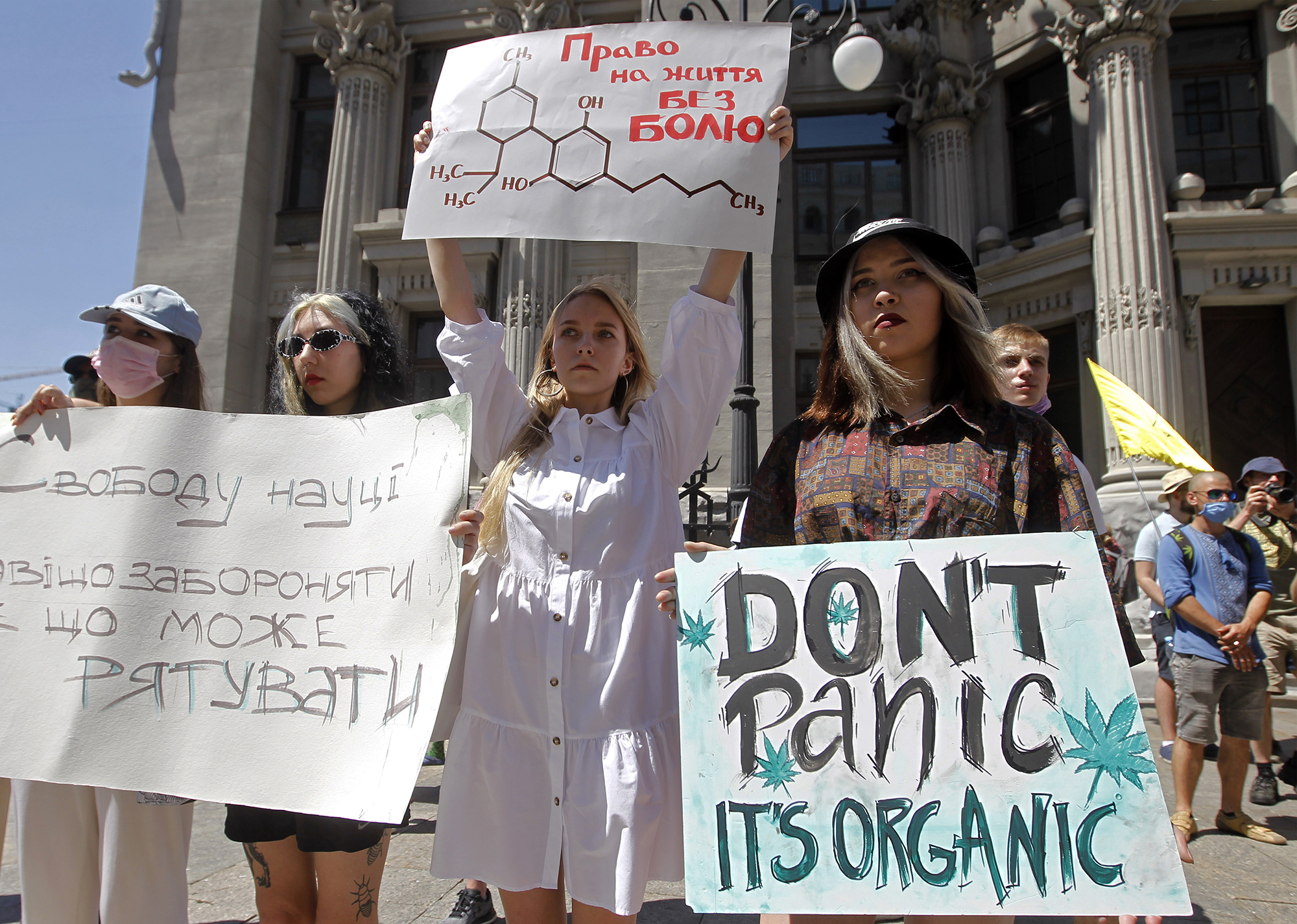 Допоможе 6 млн українців. В Раді пояснили важливість легалізації медичного канабісу